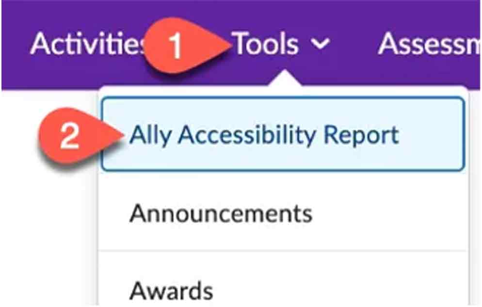 Course Accessibility Report